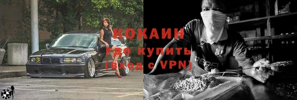 прущие грибы Краснотурьинск