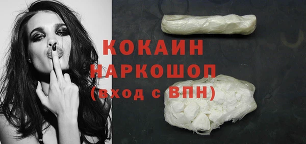 прущие грибы Краснотурьинск