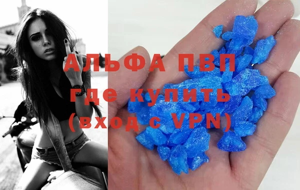 прущие грибы Краснотурьинск