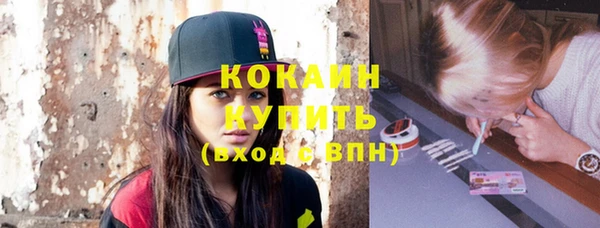прущие грибы Краснотурьинск